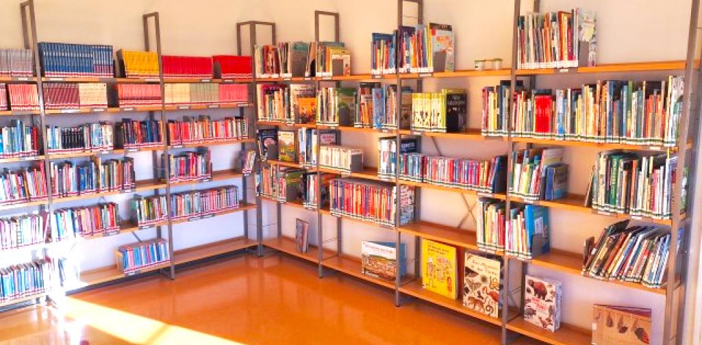 Bibliothek Bücherregal